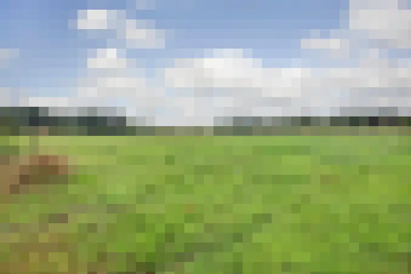Esinkweg 10 Winterswijk Kotten thumbnail 39