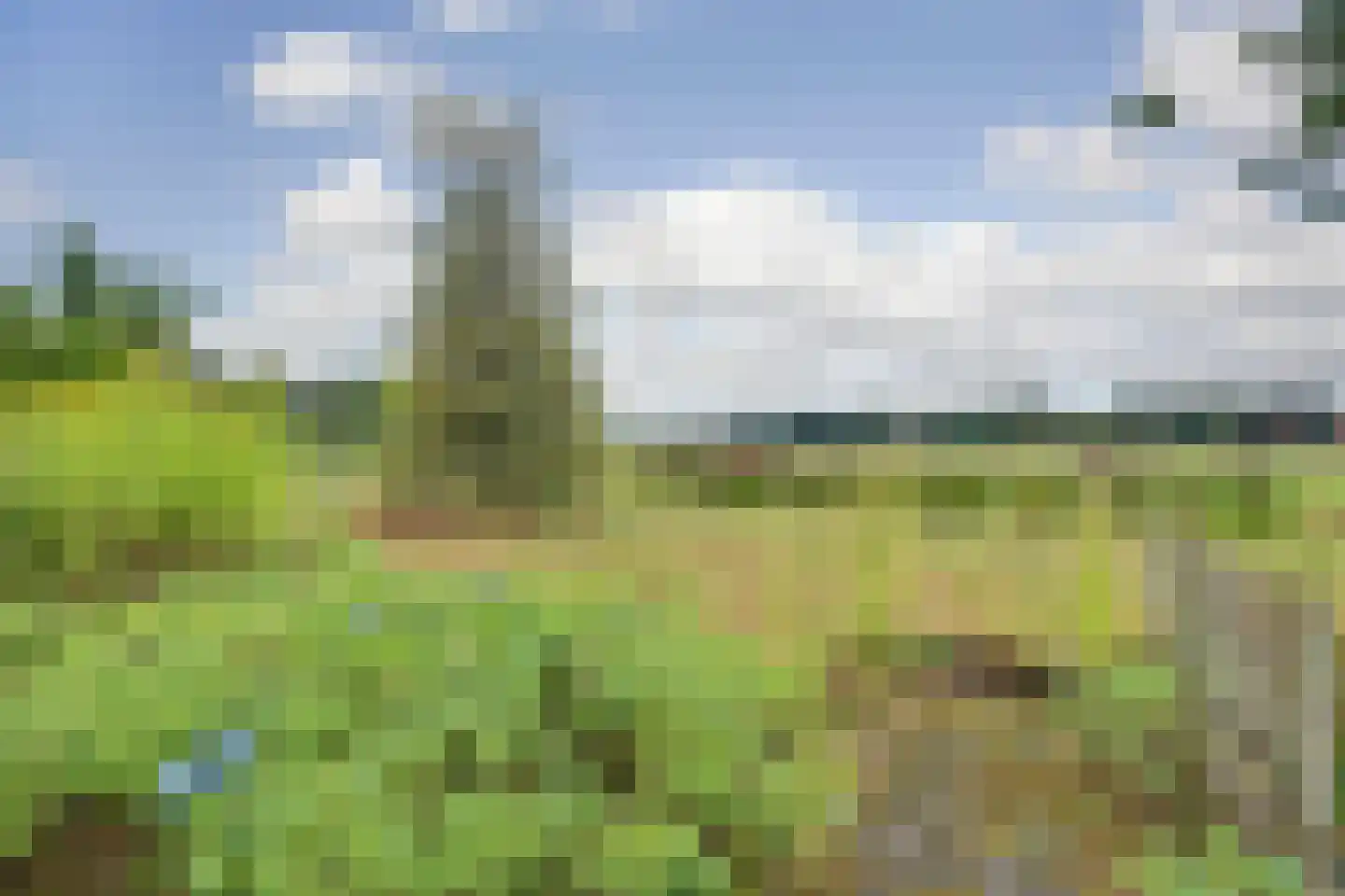Esinkweg 10 Winterswijk Kotten thumbnail 42