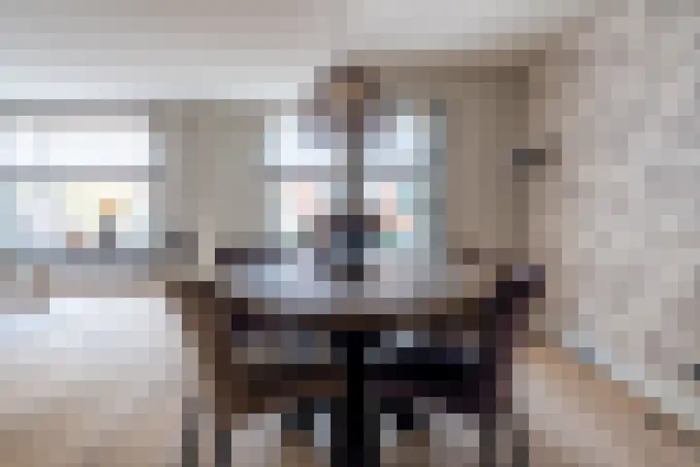 Eskesstraat 2 E Kollum thumbnail 20