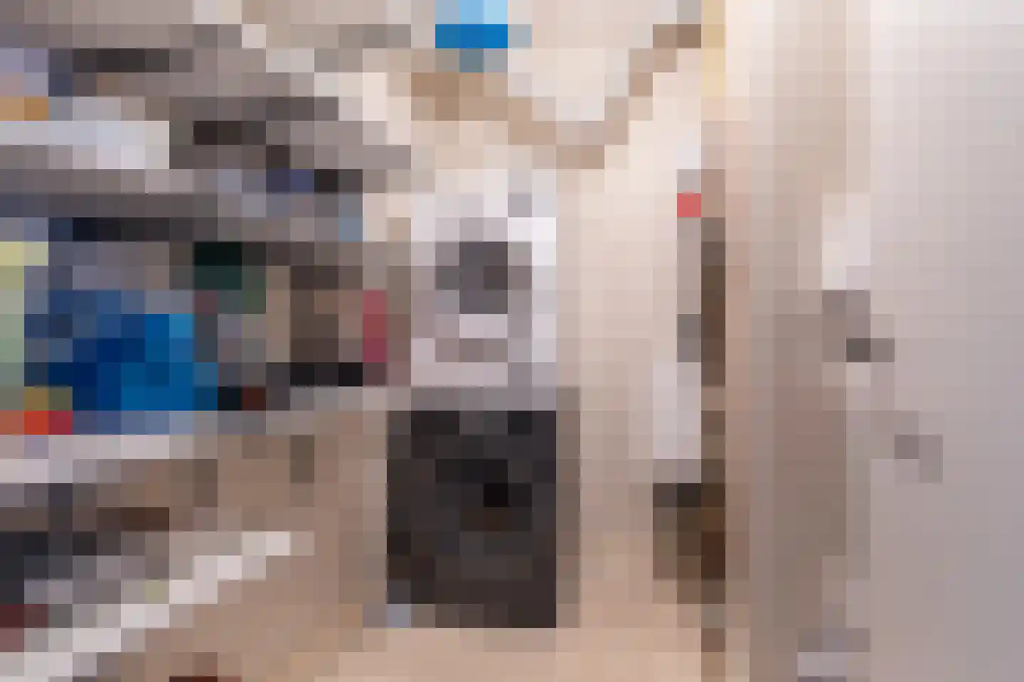 Eskesstraat 2 E Kollum thumbnail 33