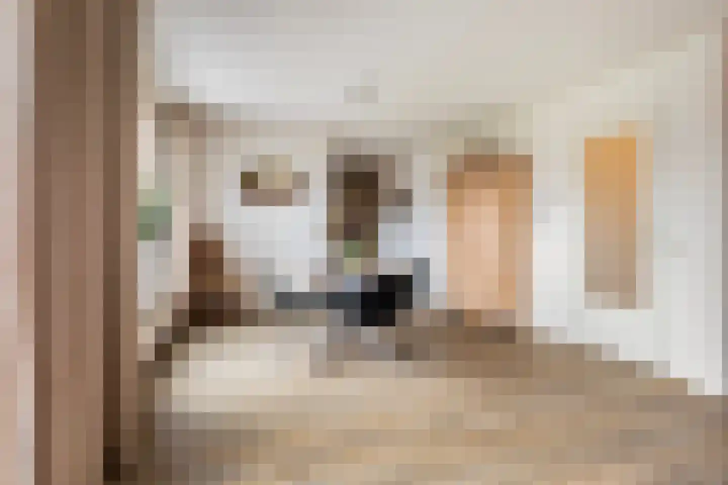 Eskesstraat 2 G Kollum thumbnail 18
