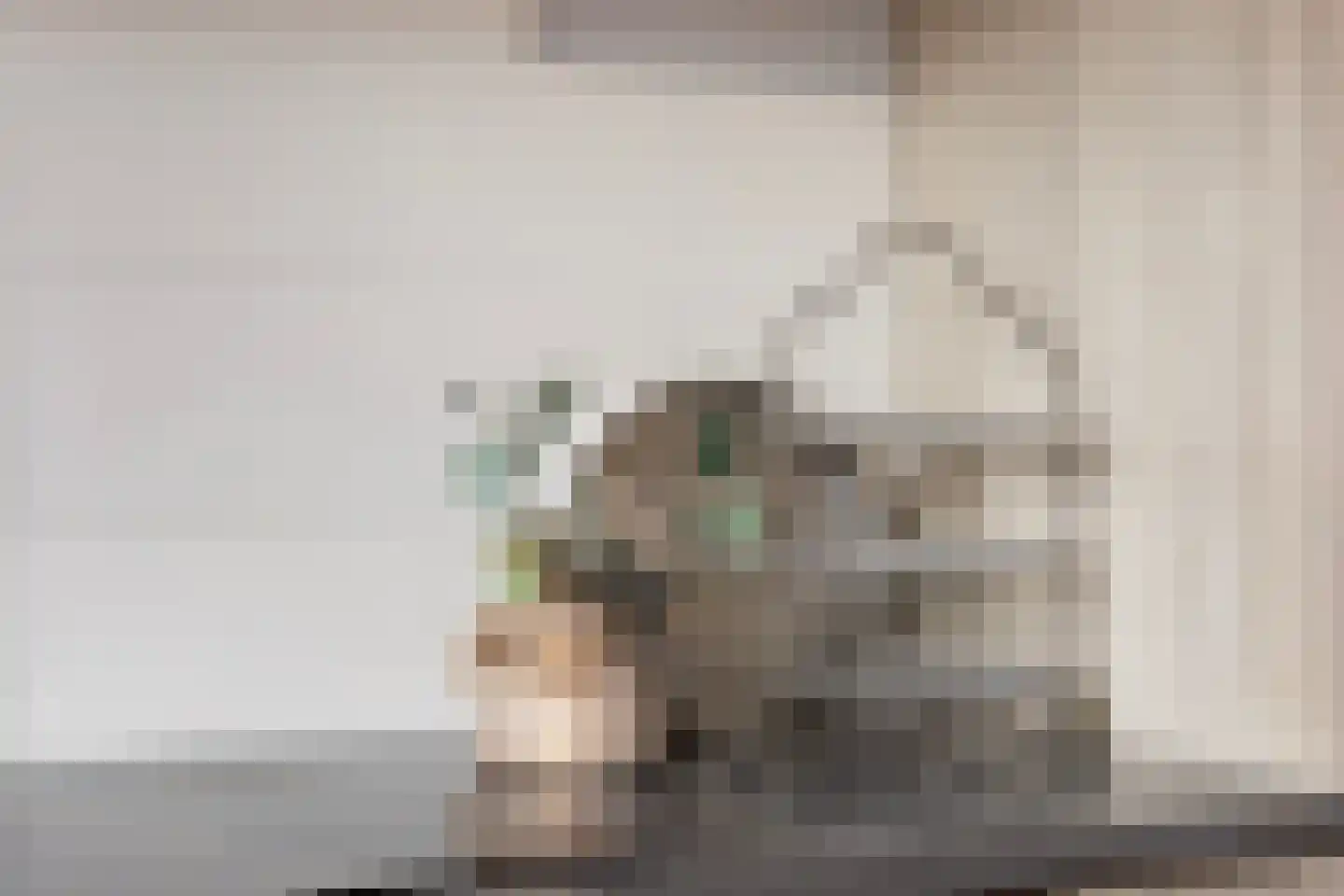 Eskesstraat 2 G Kollum thumbnail 22