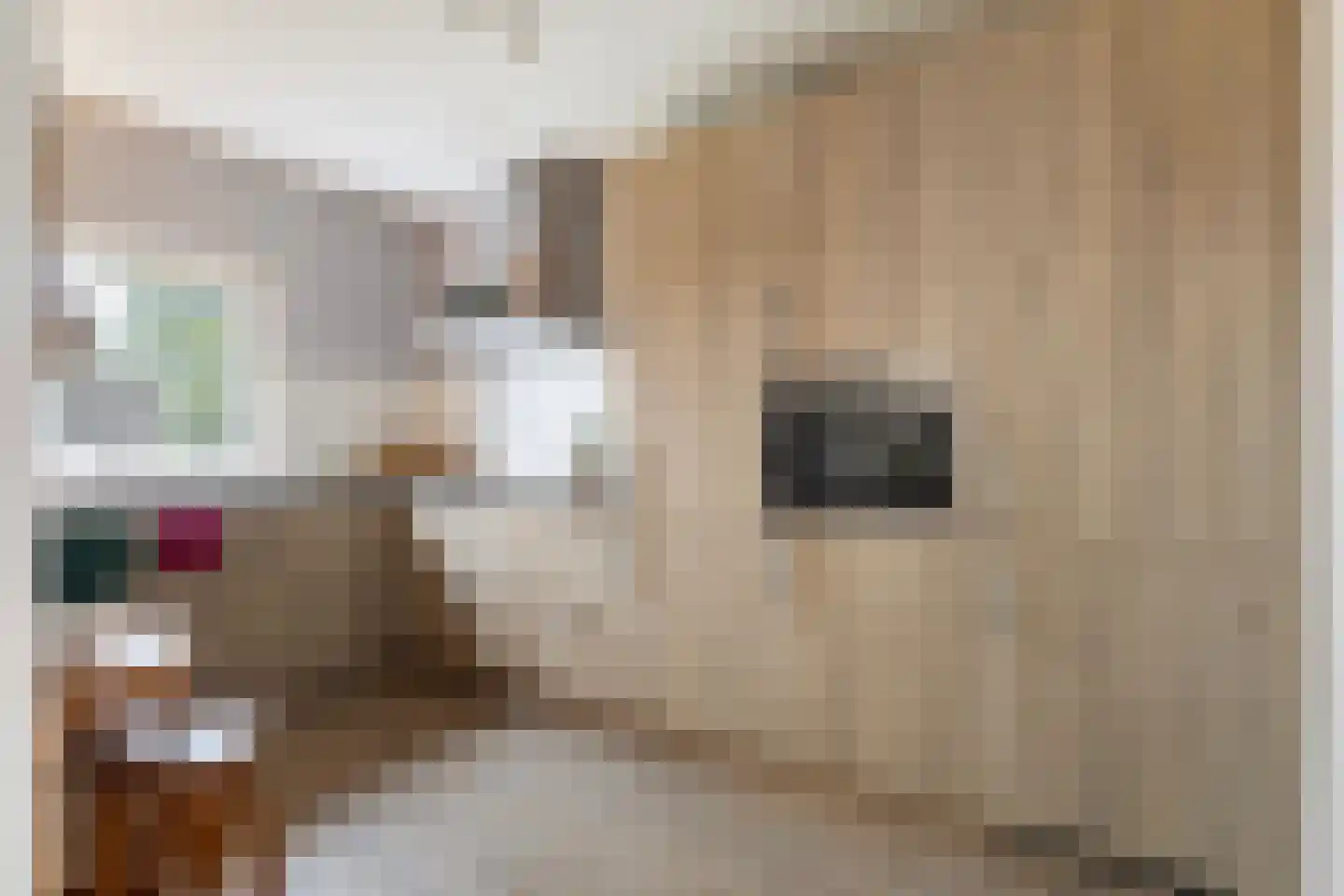 Eskesstraat 2 G Kollum thumbnail 26