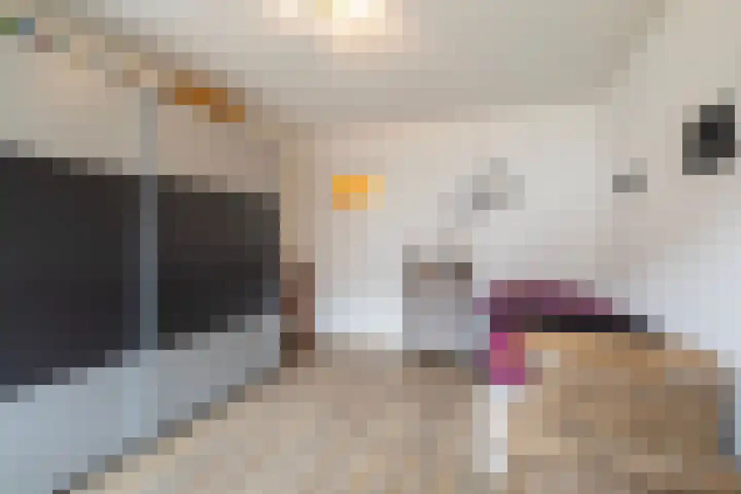 Eskesstraat 2 G Kollum thumbnail 32