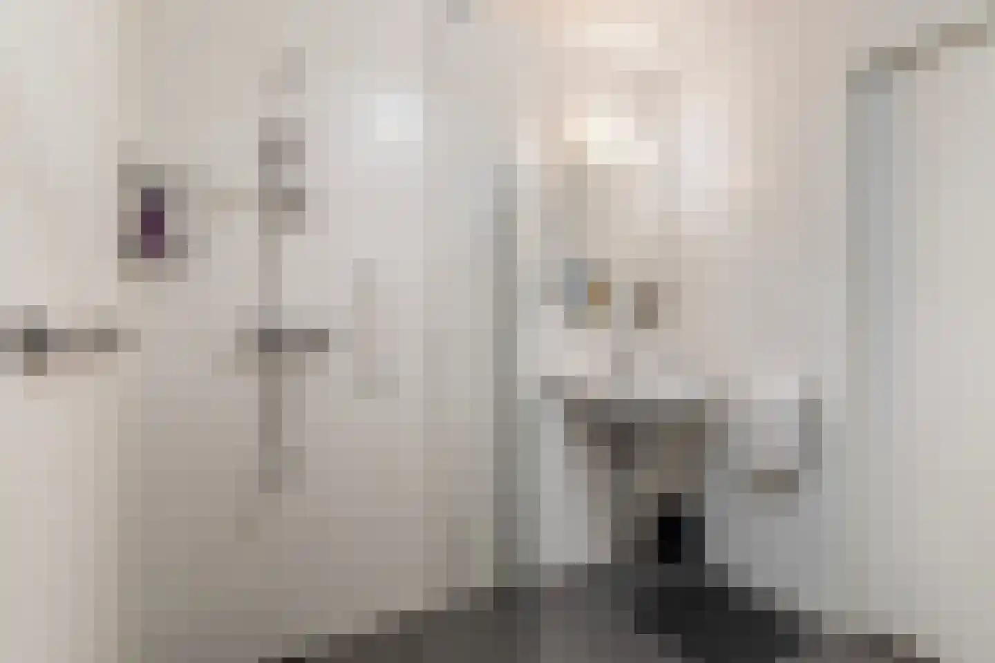 Eskesstraat 2 G Kollum thumbnail 35