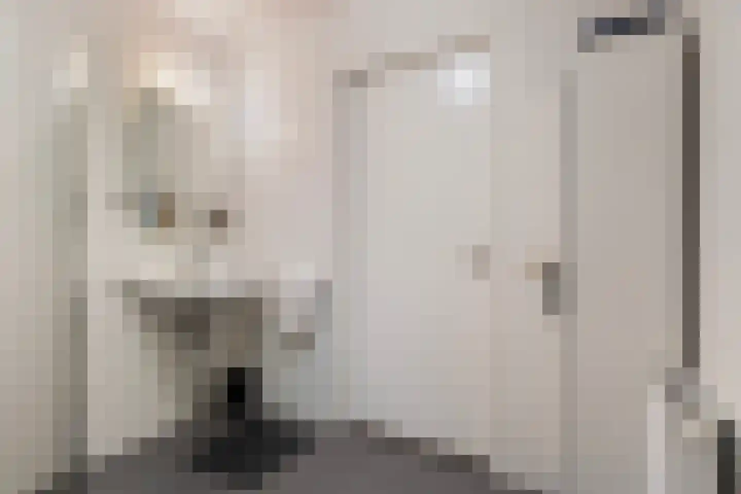 Eskesstraat 2 G Kollum thumbnail 36