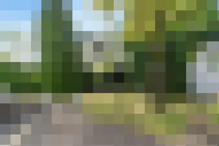 Eslaan 11 Bussum thumbnail 23