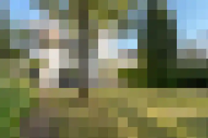 Eslaan 11 Bussum thumbnail 24