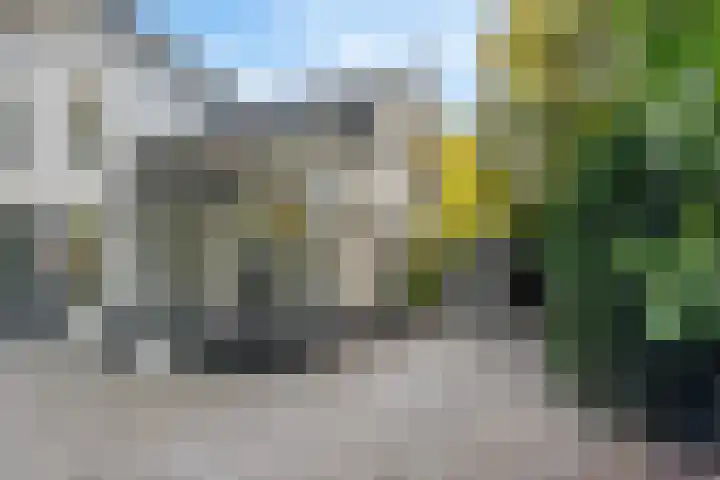 Eslaan 11 Bussum thumbnail 4