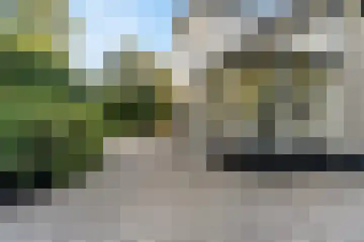 Eslaan 11 Bussum thumbnail 5
