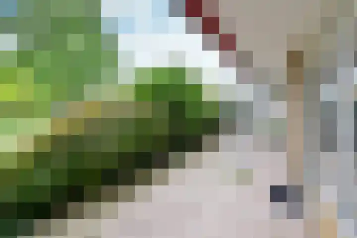 Eslaan 22 Bussum thumbnail 8