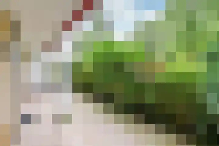 Eslaan 22 Bussum thumbnail 9