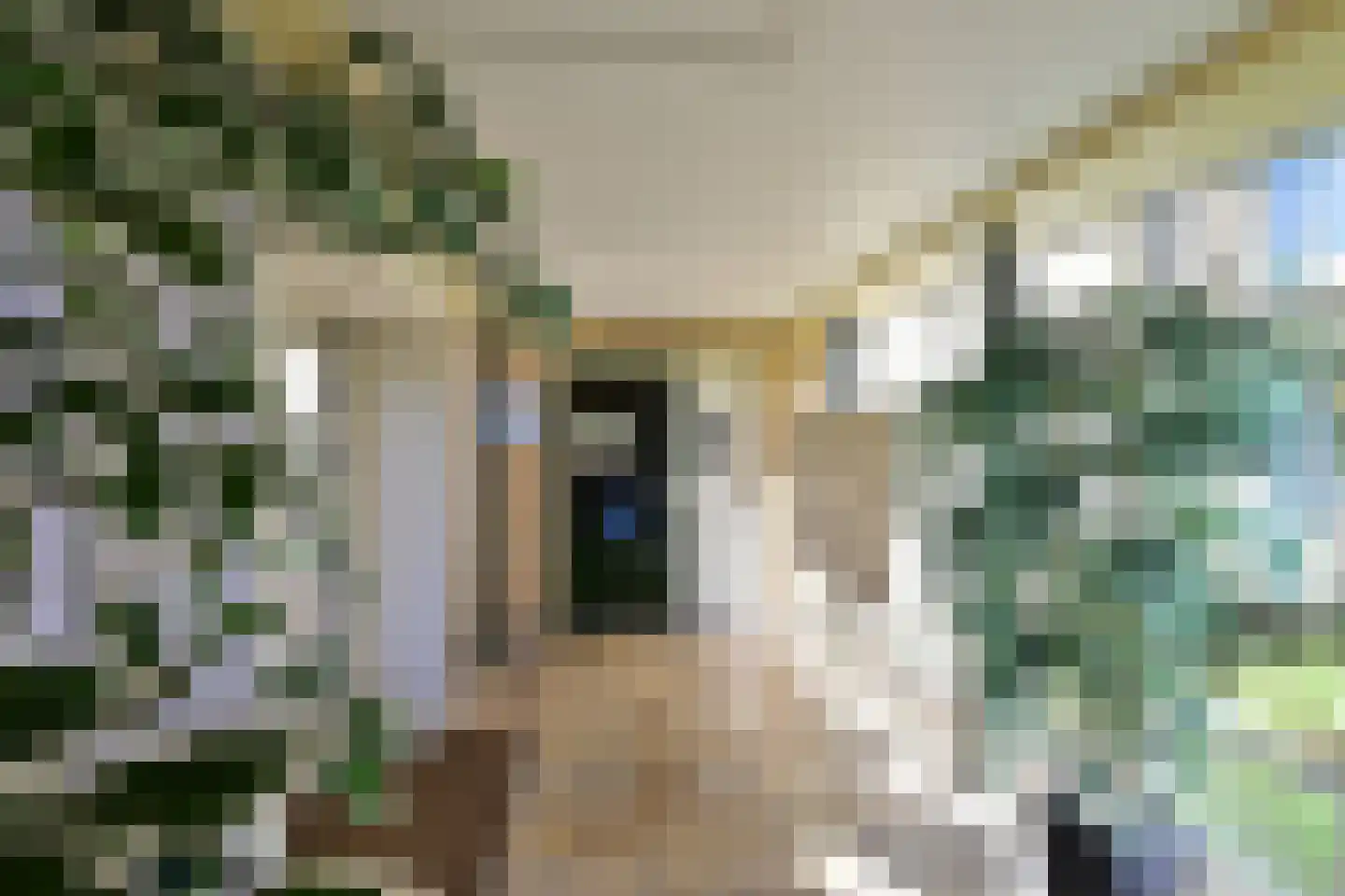 Eslaan 32 Bussum thumbnail 5