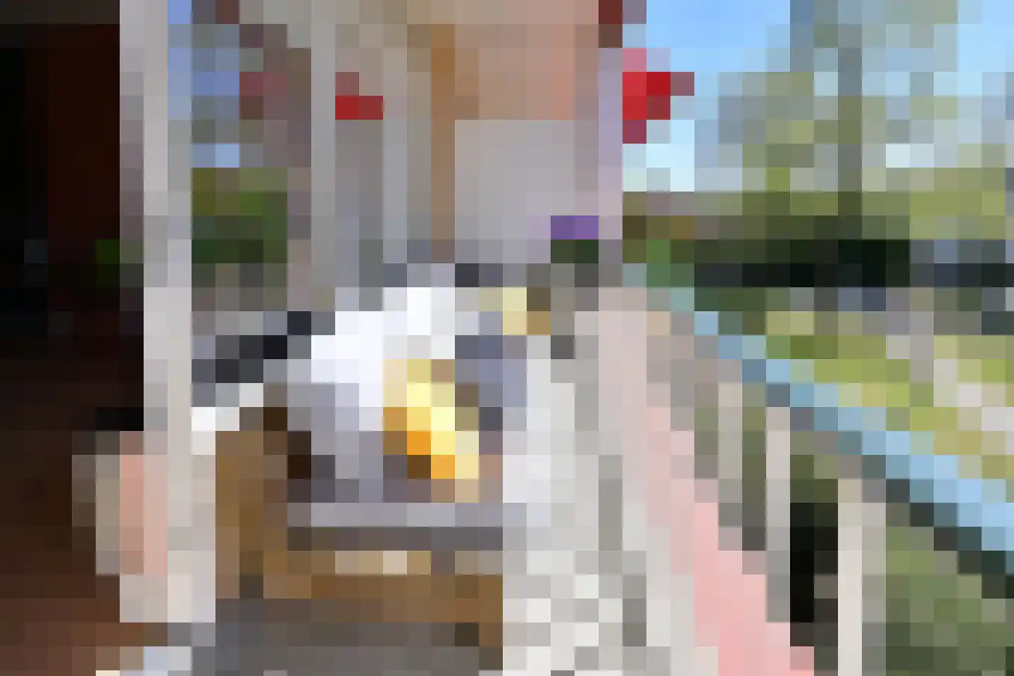 Eslaan 32 Bussum thumbnail 9