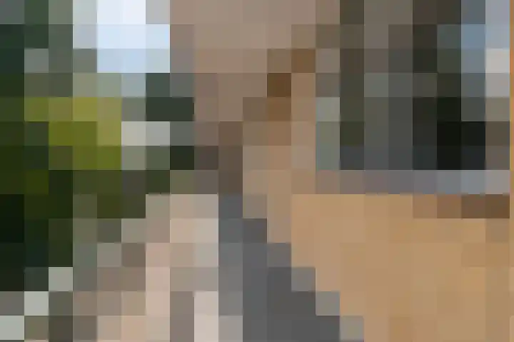 Eslaan 48 Bussum thumbnail 23