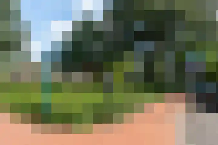 Eslaan 48 Bussum thumbnail 33