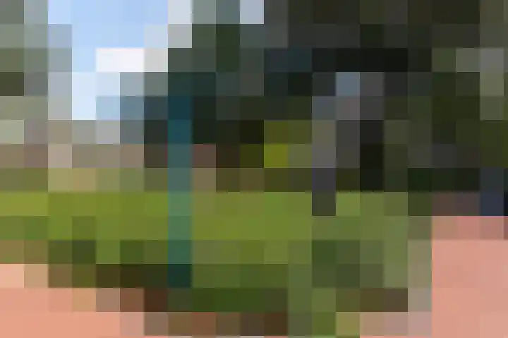 Eslaan 48 Bussum thumbnail 34