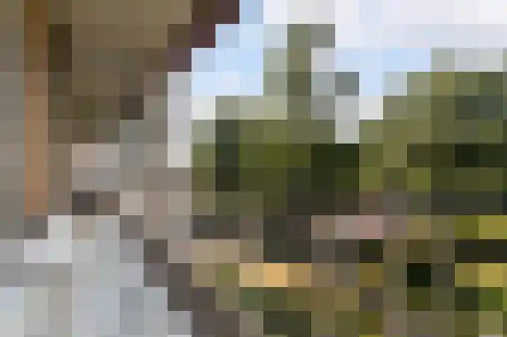 Eslaan 48 Bussum thumbnail 9