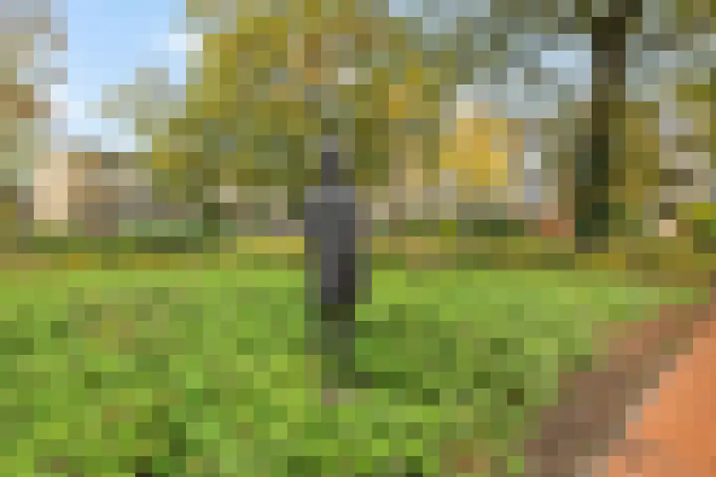 Eslaan 56 Bussum thumbnail 22