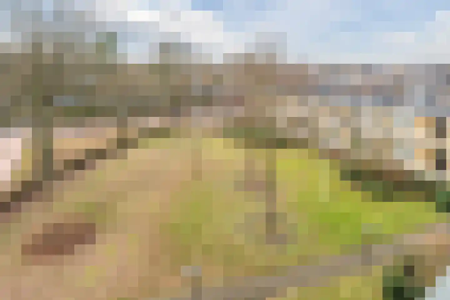 Eslaan 60 Bussum thumbnail 23