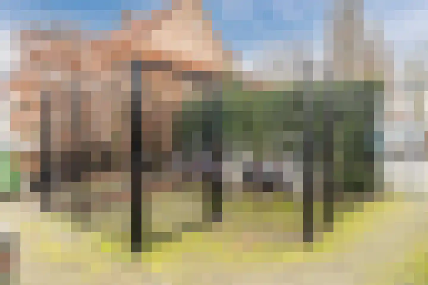 Eslaan 60 Bussum thumbnail 33