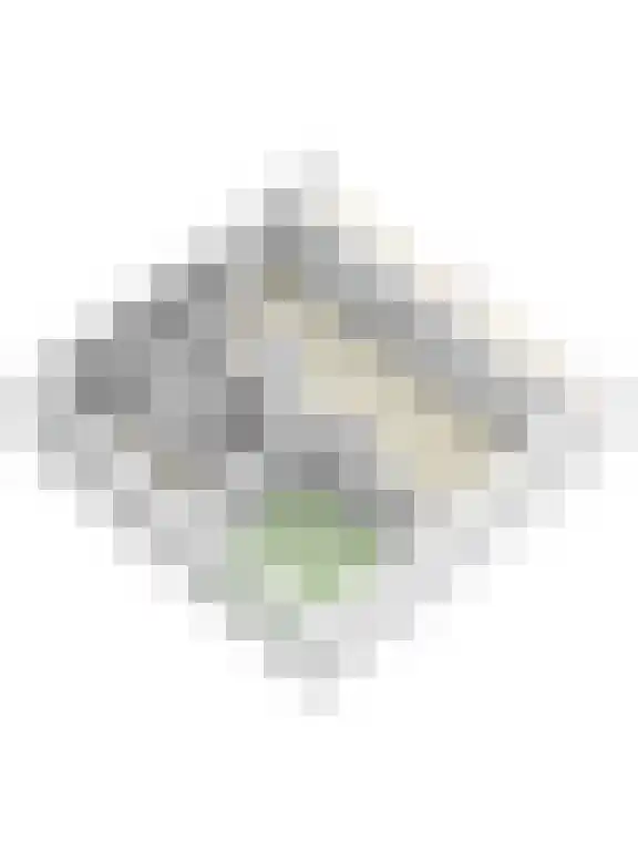 Eslaan 72 Bussum thumbnail 25