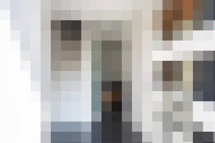Eslawâld 13 Feanwâlden thumbnail 10