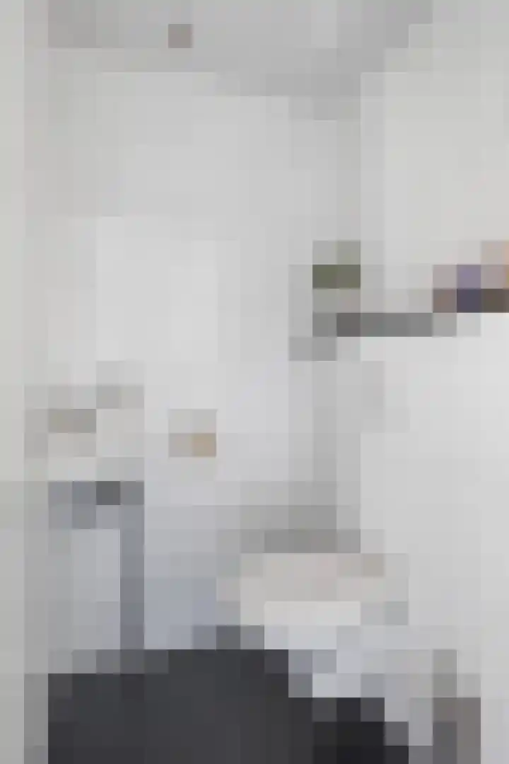Eslawâld 13 Feanwâlden thumbnail 13