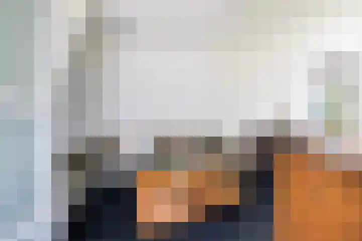 Eslawâld 13 Feanwâlden thumbnail 14