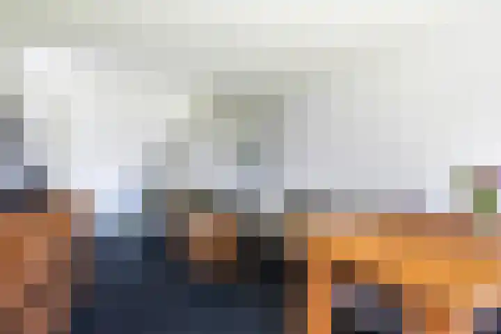 Eslawâld 13 Feanwâlden thumbnail 15