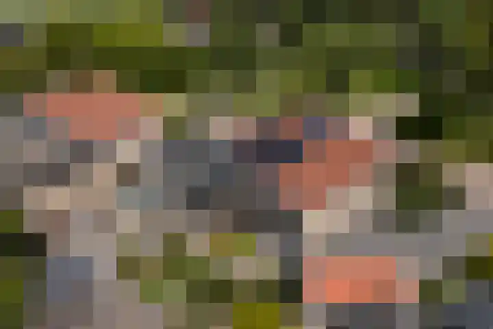 Eslawâld 13 Feanwâlden foto 2