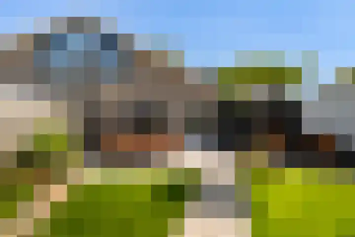 Eslawâld 13 Feanwâlden foto 3