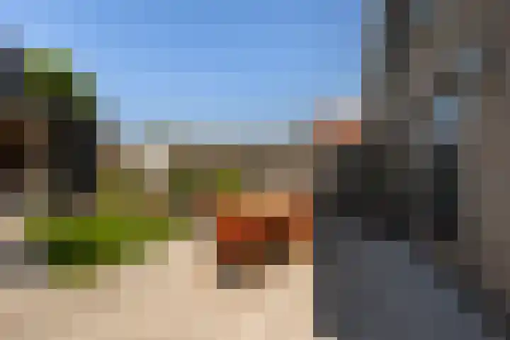 Eslawâld 13 Feanwâlden thumbnail 31