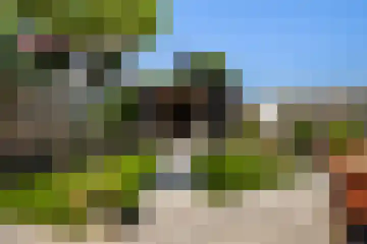 Eslawâld 13 Feanwâlden thumbnail 32