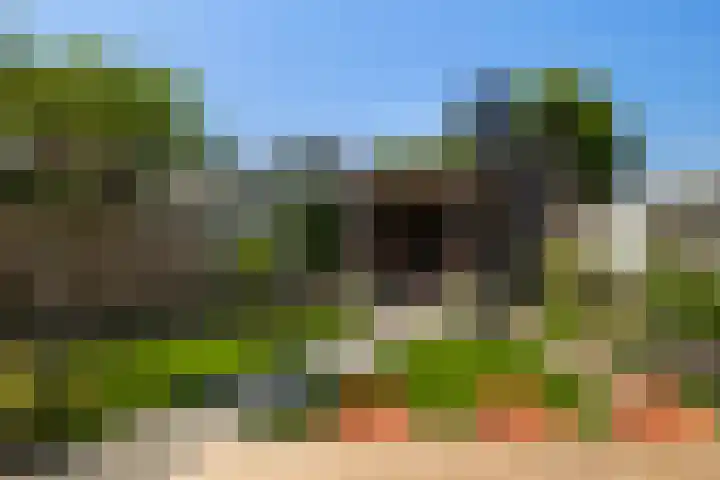 Eslawâld 13 Feanwâlden thumbnail 33