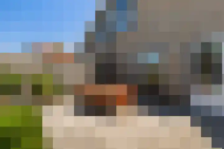 Eslawâld 13 Feanwâlden thumbnail 34