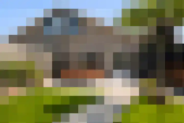 Eslawâld 13 Feanwâlden thumbnail 35