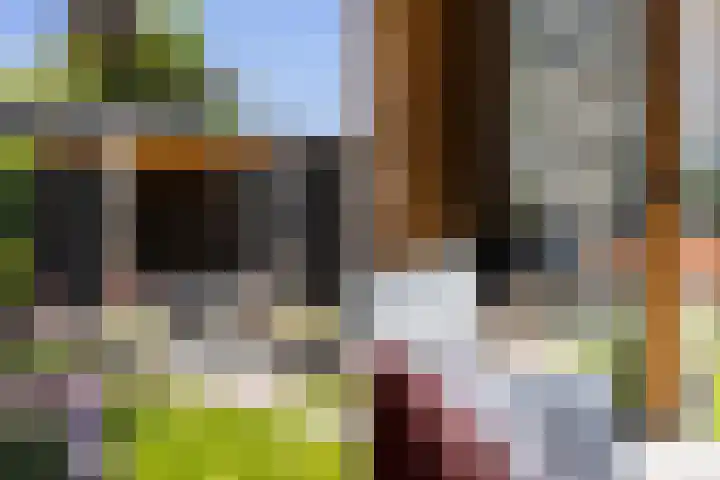 Eslawâld 13 Feanwâlden thumbnail 39