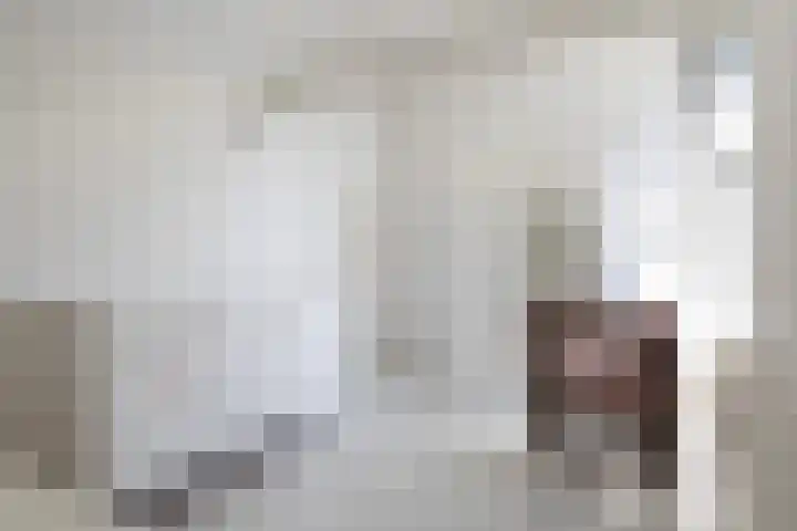 Eslawâld 13 Feanwâlden thumbnail 43