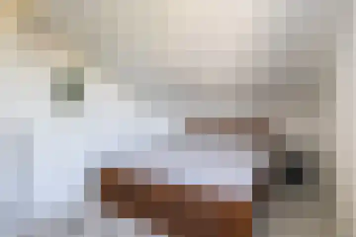 Eslawâld 13 Feanwâlden thumbnail 44