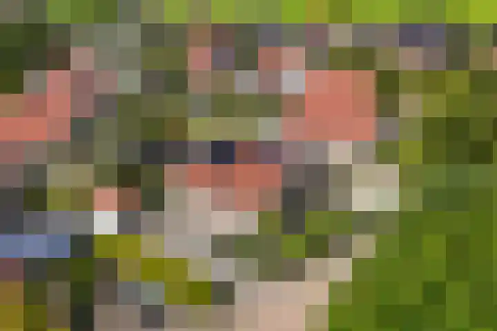 Eslawâld 13 Feanwâlden thumbnail 46