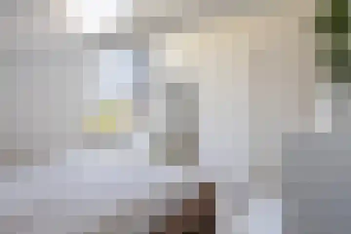 Eslawâld 13 Feanwâlden thumbnail 5