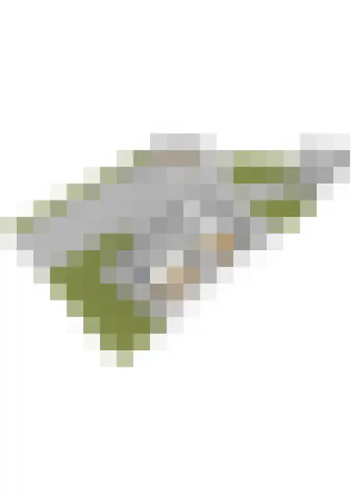 Eslawâld 13 Feanwâlden thumbnail 58