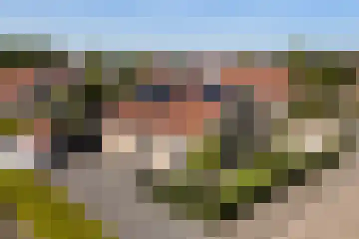 Eslawâld 13 Feanwâlden thumbnail 59