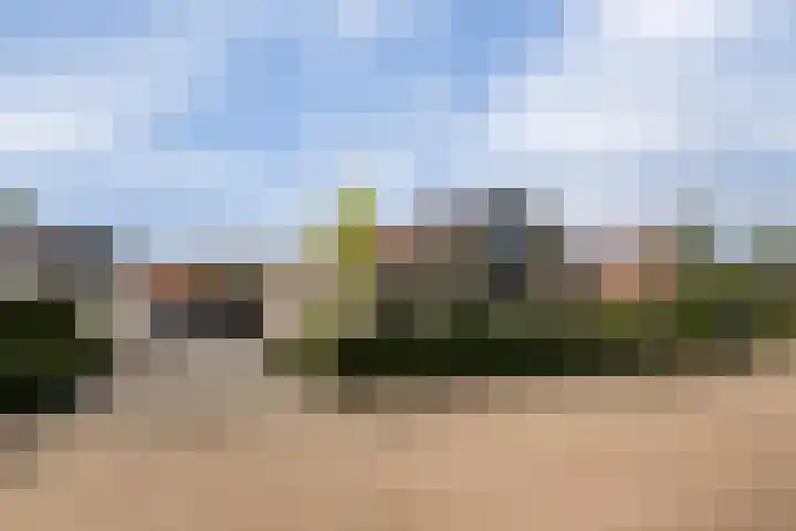 Eslawâld 13 Feanwâlden thumbnail 6
