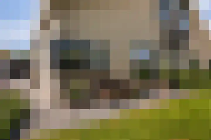 Eslawâld 13 Feanwâlden thumbnail 7