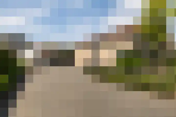 Eslawâld 13 Feanwâlden thumbnail 8