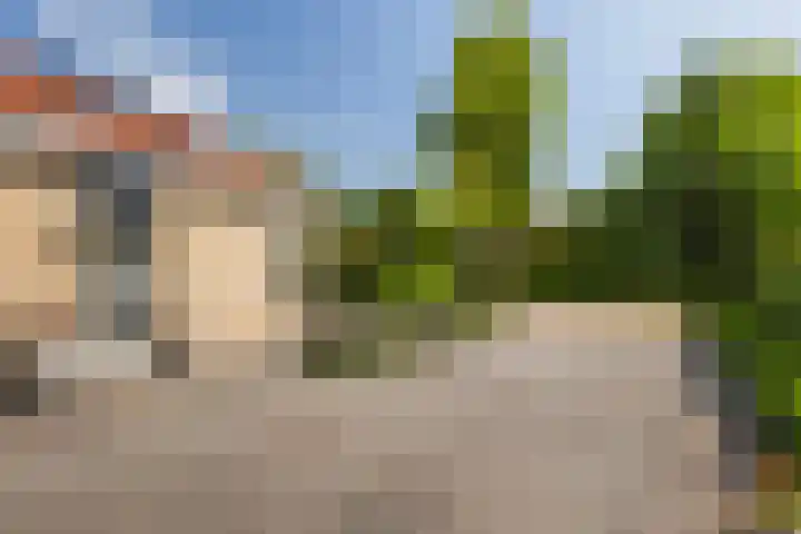 Eslawâld 13 Feanwâlden thumbnail 9