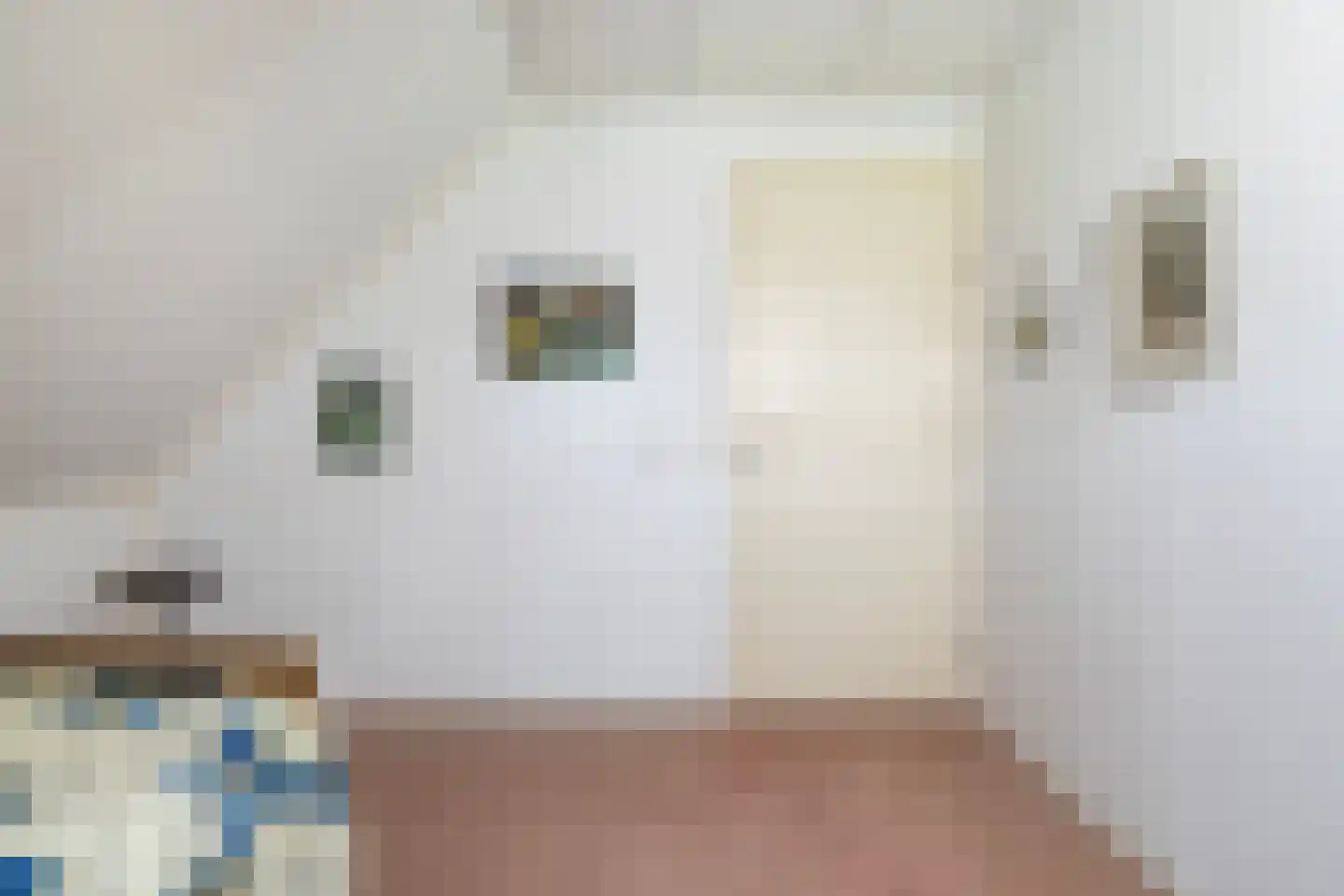 Eslawâld 53 Feanwâlden thumbnail 30