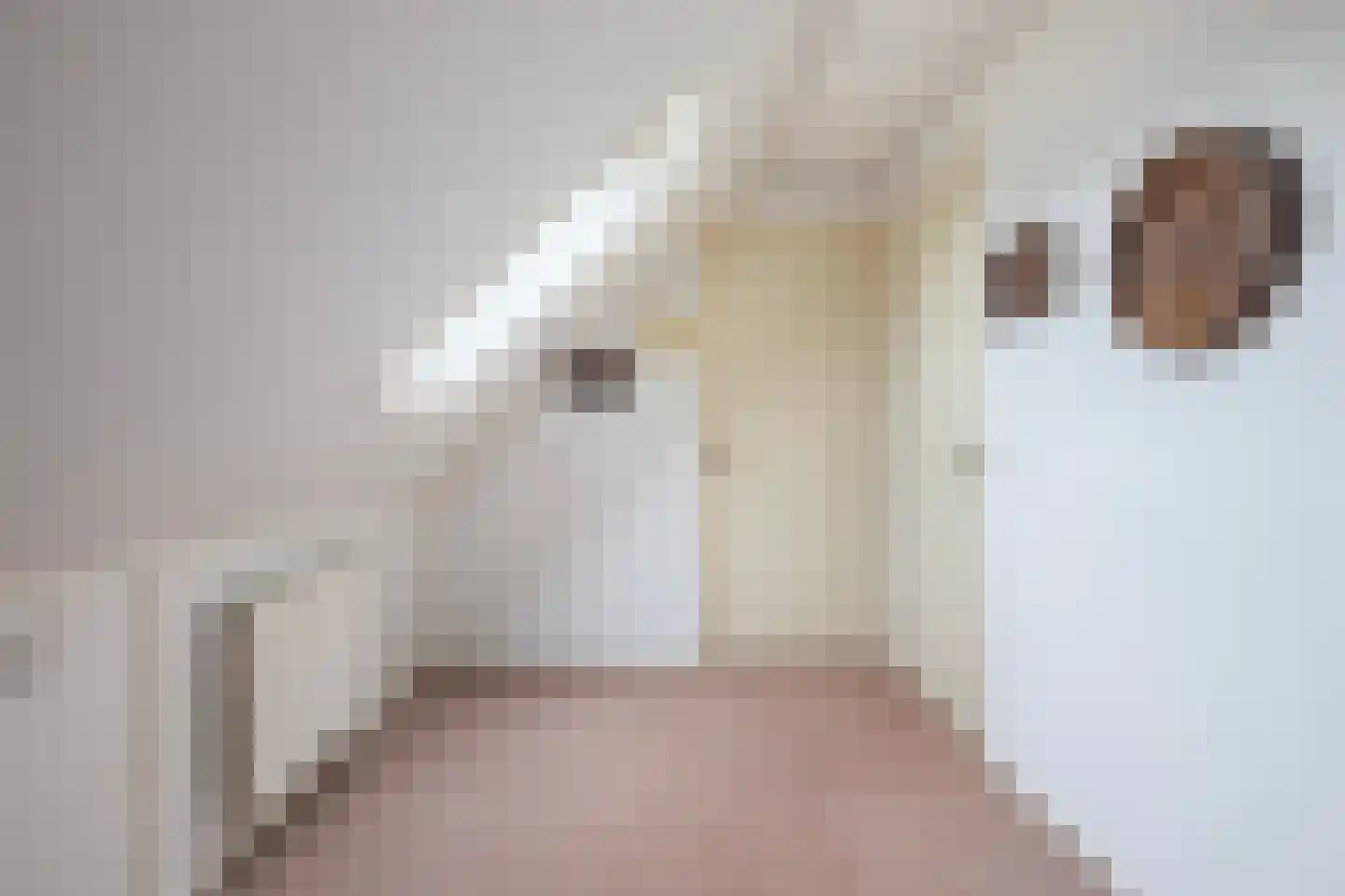 Eslawâld 53 Feanwâlden thumbnail 31